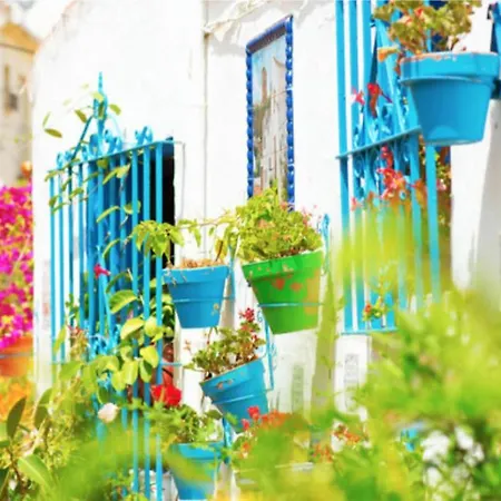 شقة The Black&white توريمولينوس